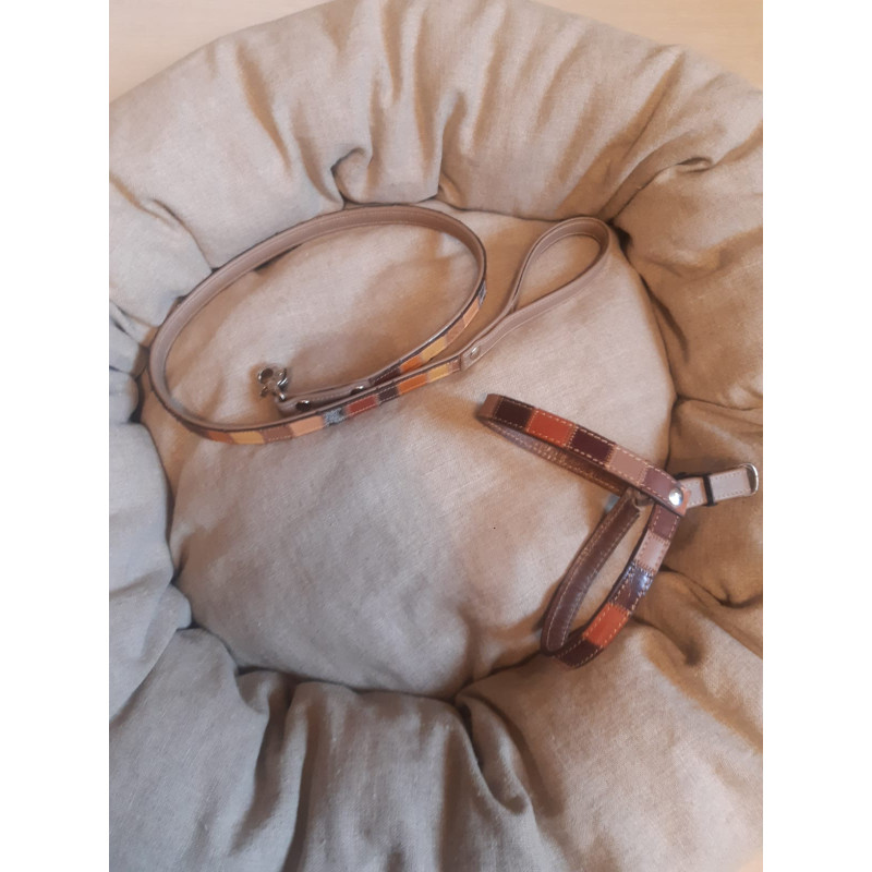 pttorine collezione rey