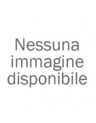 segnalibro